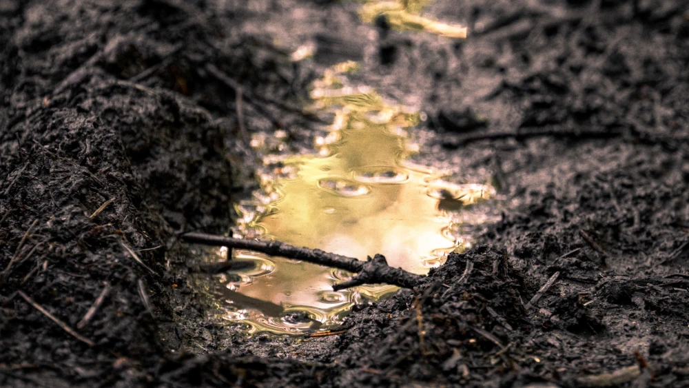 Das Bild zeigt ein Stück Boden in Nahaufnahme. Eine kleine Pfütze reflektiert einfallendes Sonnenlicht.